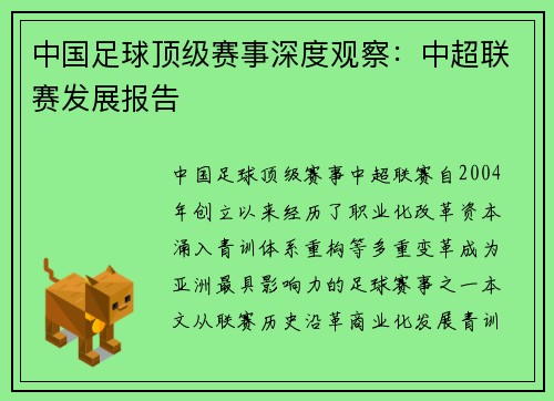 中国足球顶级赛事深度观察：中超联赛发展报告